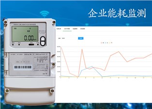 企（qǐ）業（yè）能耗監測—老王說表